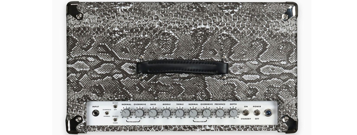 30-watt snakeskin combo-2